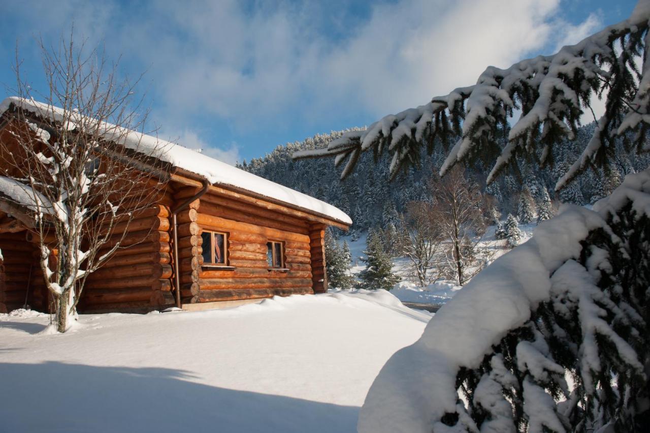Le Couaroge Chalets Et Appartements La Bresse Exterior photo