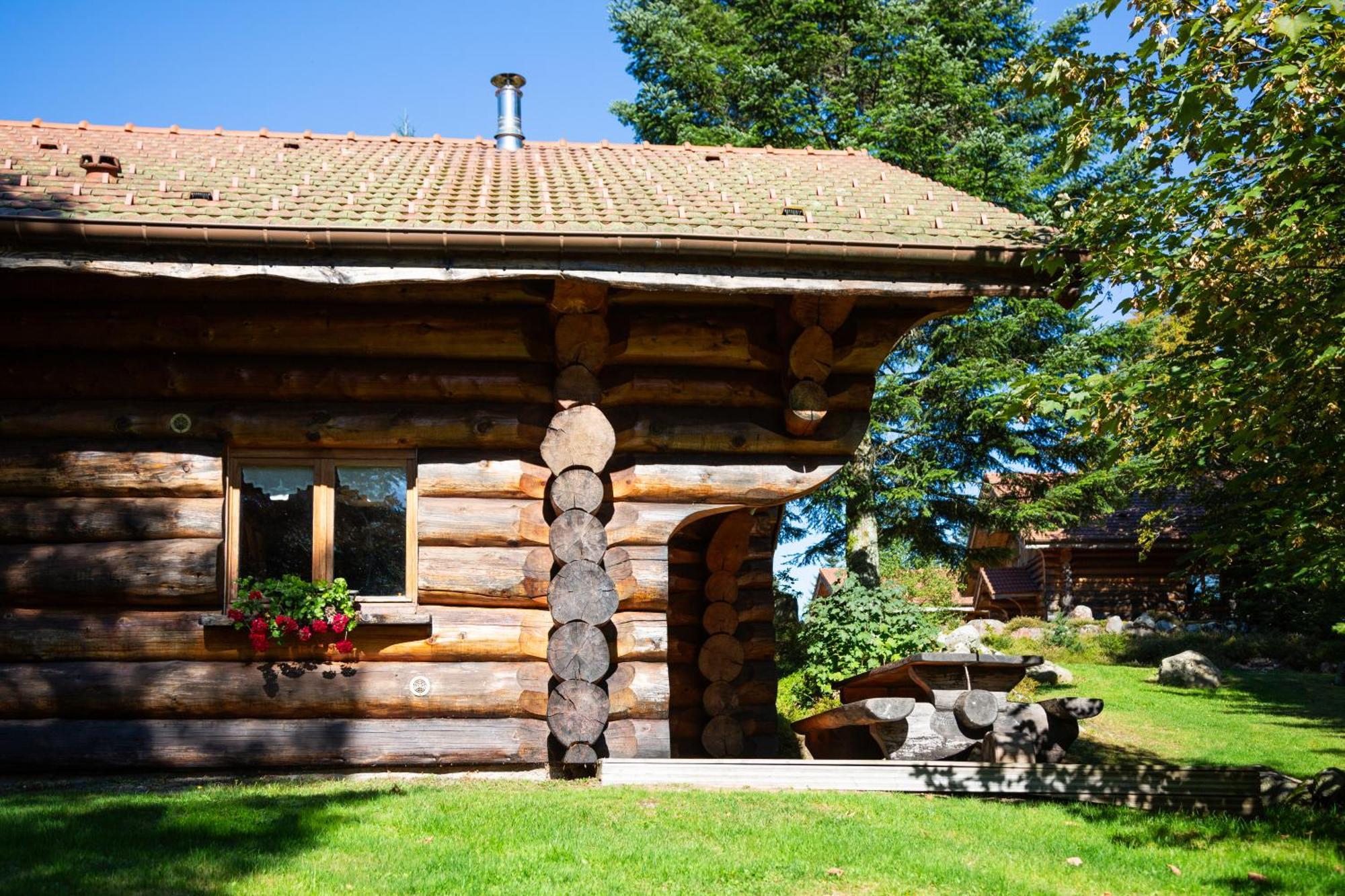 Le Couaroge Chalets Et Appartements La Bresse Exterior photo